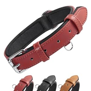 Grand Line Collar de Perro de Cuero, Collare Ancho y Grueso con Suave Acolchado，Collare de Perro en Piel Ajustables Resistentes para Perros Pequeños, Medianos, Grandes (Roja, S)
