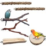 6 Pcs Bird Perches for Cage Natural Wood Parrot Budgie Perch O-Shaped & Rectangle Platforms Birdcage Stand for Parrotlets Cockatiels Lovebirds