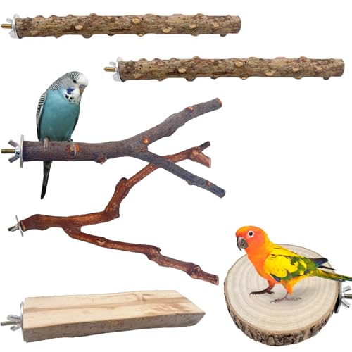 Perchoir pour inséparables avec plateformes rectangulaires en bois pour cage