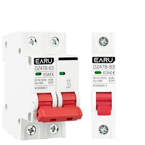 WANGBINGXING Disjoncteur Mini disjoncteur DZ47 DC 12 V, 24 V, 48 V, 36 V, Protection des pôles positifs et négatifs(1P,40A)