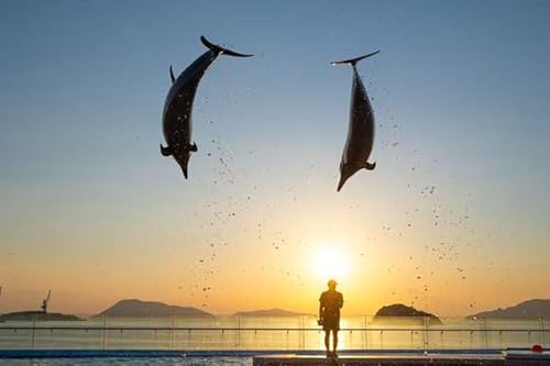 y{̕i|XgJ[hz쌧̌SFÒl l CJV[Ɨ[Q ͂ tHgJ[hyY photo by daikegoro