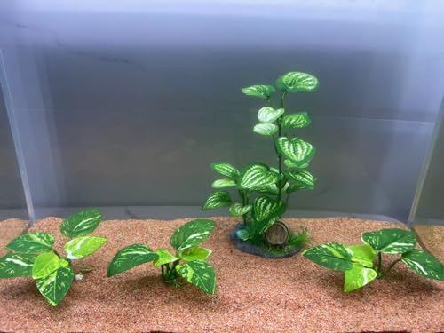 image for EDGCTYU Aquarium Silk Plants for Betta Fish Tank, Aquarium Plant Aquat