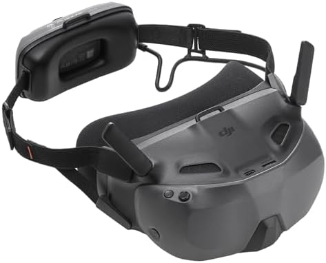 DJI Goggles