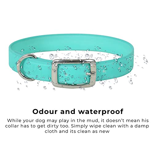 Image of Lightweight, Waterproof & Odour Proof Dog Collar - Large, Turquoise