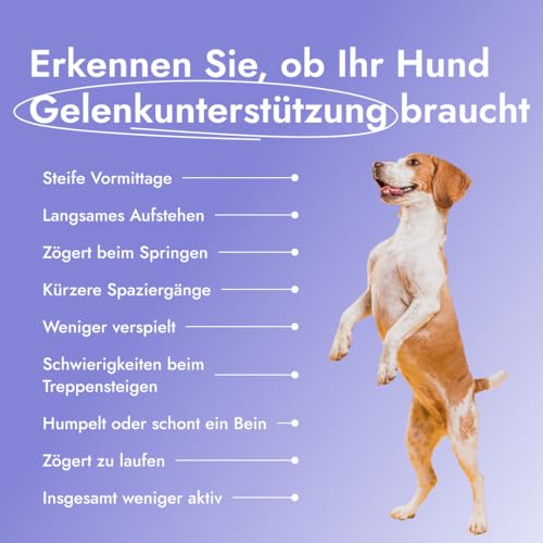 Petstile Joint Saver®: Kollagen, Glucosamin, Teufelskralle, Grünlippmuschel & Hagebutte – unterstützt Gelenke, Hüfte & Mobilität Erwachsener Hunde, wirkt entzündungshemmend (1x 150 g)