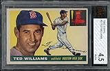 1955 Topps #2 Ted Williams Red Sox BVG 4.5 VG-EX+ 415912 Kit Young Cards
