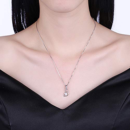 S925 Sterling Silver Wysokiej jakości antyalergiczna biżuteria Naszyjnik z cyrkoniami Naszyjnik Ladies Exquisite