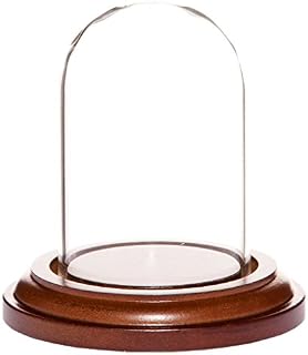 Plymor 1.85" x 2.875" Mini Glass Display Dome Cloche (Walnut MDF Base)