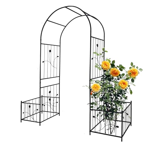 Arche de jardin pour rosiers et vignes avec treillis d'extérieur