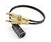 CablesOnline 1ft Din-7 Female to 2-RCA Male Audio Cable Adapter for Bang & Olufsen, Naim, Quad...Stereo Systems, (BO-404)