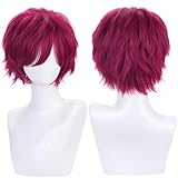 PORSMEER Men's Anime Short Rose Red Cosplay Wig,Unisex Short Layered Synthetic Accessory Hair Wig+Hair Cap for Cosplay Halloween Costume