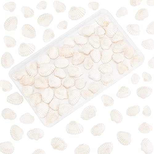 PandaHall Elite about 160g White Natural Conch Shell Beads Undrilled/No Hole Tiny Scallop Sea Shells Ocean Beach Seashells Craft Charms for Candle Making Home Decoration Party Wedding Decor
