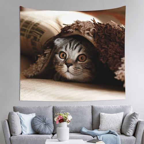 Tapisserie de chambre chat sous couverture EdWal grand format drap mural et deco dortoir