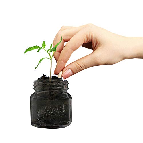 Protocol Mason Jar Shot Glasses | Set Of 6 | 2 Oz | Dishwasher Safe Drinking Glasses| Perfect For Home Bar, Man Cave Or She Shed | Great Stocking Stuffer, Party Favor Or Gift #TOP3