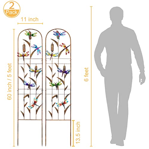 Lewis&Wayne 2 Pack Metal Garden Trellis With Colorful Dragonfly 60 Inch High Outdoor Decoration Arched Fence Trellis For Climbing Plants For Patio, Lawn, Yard, Backyard, Wall Brackets #TOP1