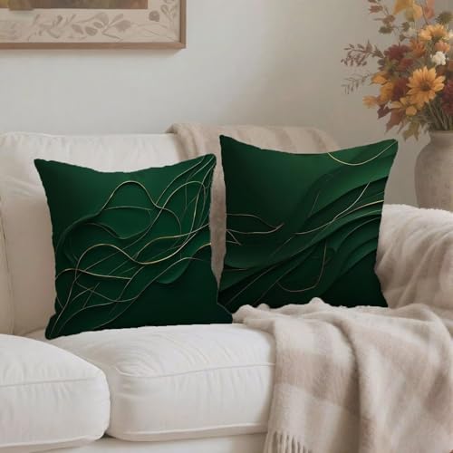 Housse coussin 65x65cm lot de 2 vert géométrique en lin imperméable