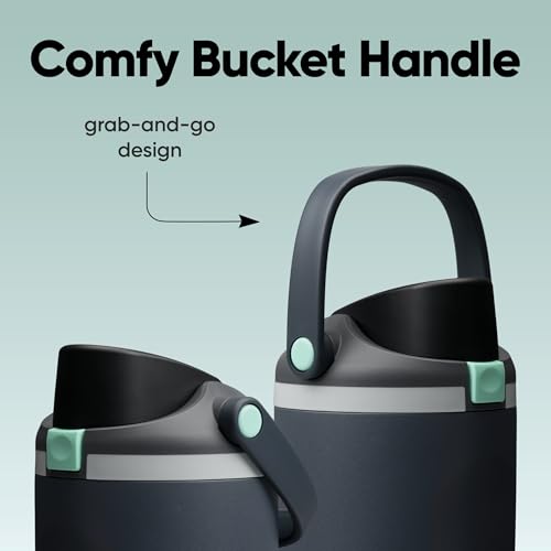 Image of Owala FreeSip Sway Insulated Stainless Steel Water Bottle with Two-Way Spout, Built-In Straw and Bucket Handle, Made for Travel, School, and Sports, 30oz, BPA Free, Leak Proof, Foggy Tide