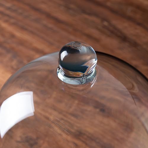 Juego de cúpula profesional para ahumar alimentos, cócteles e infusiones 6