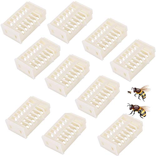 nuluxi Biene Königinnenzucht Käfige Fänger Königin Bienen Käfige Imker Bienenkönigin Fänger Ja Wichtige Ausrüstung für Imker und EIN Guter Helfer für Einführung von Königinnenzucht (10 Stück, Weiß)