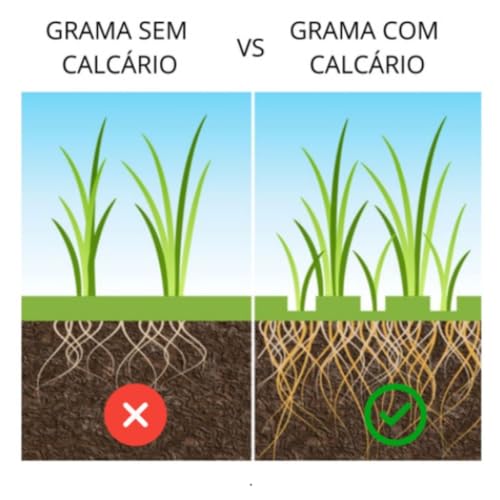 Calcário Dolomítico 3kg para Corrigir Ph Do Solo Fértil Marcon