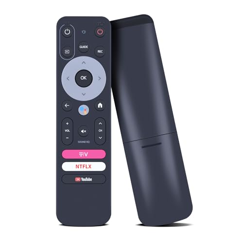 Télécommande de rechange PZL pour Google TV HUB noir