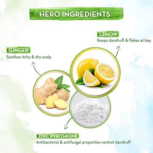 Mamaearth Lemon Anti-Dandruff Shampoo with Lemon & Ginger for Itchy & Flaky Scalp – 250 ml - Image 2