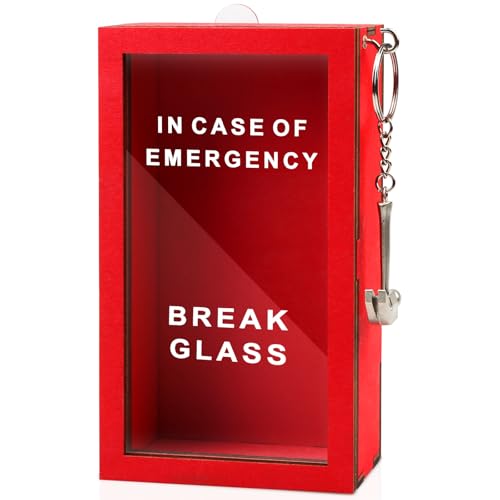 WenmthG Funny Gift Emergency Box - Create Self Defined Idea Jar w/Hammer, Break in Case of Emergency Box - Desk Decor - Personalized Gag Gift for Friends Coworkers
