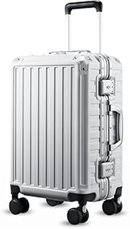 LUGGEX Luggage with Spinner Wheels, Polycarbonate Expandable Hard Shell Suitcase, Carry On 20 Inch, Silver