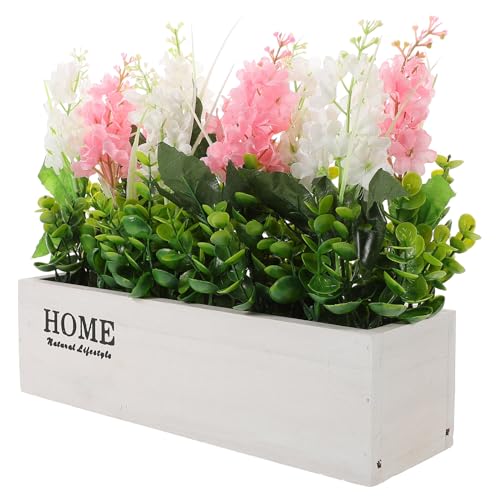 Plantes décoratives d'intérieur jacinthe rose blanc sans entretien avec pot
