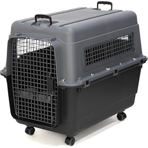 SportPet Airline Compliant X-LARGE 32.25″ Travel Dog Kennel-Durable Plastic Airline Pet Carrier w/Removable Wheels & Food Bowls, Collapsible Indoor/Outdoor Dog Kennel, Dogs up to 32″L & 23″H-Dark Gray