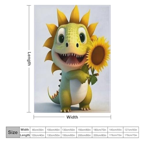 Couverture dinosaure moelleuse : le cadeau de séjour idéal - 6