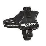 JULIUS K-9
