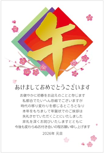 年賀状じまい ハガキ 10枚【お年玉付き年賀はがき】2026 馬 アルファプリントサービス公式〈SN209 華美〉終活年賀状