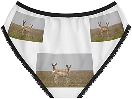 Pronghorn Antelope Panties, Pronghorn Antelope Underwear, Briefs, Cotton Briefs, Funny Underwear, Panties For Women