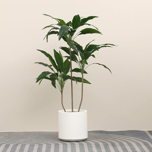 HWQFM lHϗtA  ^ tFCNO[  CeA  b炸 sv ItBX z[ fR[V  120cm p[eB[  A OΉ Bep v[g Mtg 蕨 _ ډB