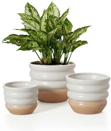 Ceramic Pots for Plants, 5/6/7 inch Stac… Ceramic Pots for Plants, 5/6/7 inch Stac…