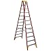 Werner (T6212) Twin Step Ladder, Fiberglass