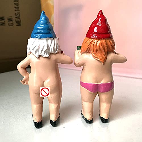 Skoye Garden Gnomes Outdoor Funny, 2Pcs Garden Gnomes Statue Naughty Garden Gnome Funny Gnome, Art Decoration For Lawn Ornaments Indoor Or Outdoor Garden Decorations #TOP5
