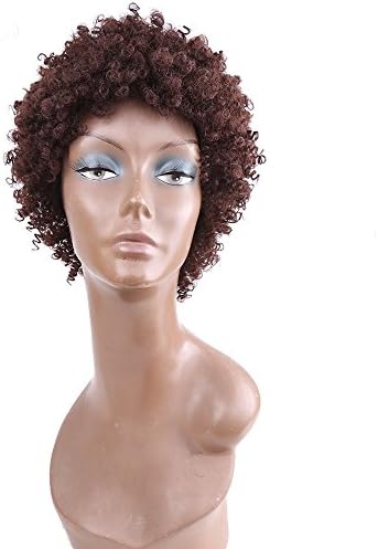 Amir Kinky Curly Afro Wig Synthetic Hair Short Wigs for Women and Men African Pelucas Sinteticas Cosplay (Brown)