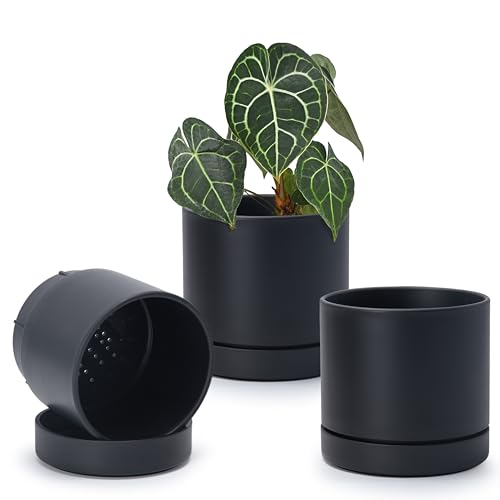 Phoenix Vine 6 Inch Planter Pot with Drainage Hole & Saucer, Deep Water Catch Tray, Straight Cylindrical Round Pot for Plants, Matte Black, Pack of 3, 23-C-S-3 by Phoenix Vine - Used condition - US$23.01