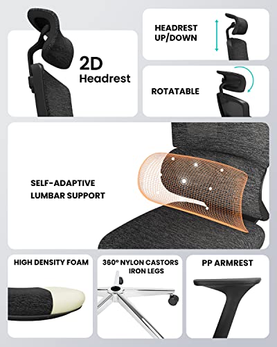 Dripex Ergonomic Office Chair-Mesh High Back Desk Chair Computer Chairs With Lumbar Support/Arms/Adjustable Headrest/Cushioned Seat/Wheels, Swivel Rolling Reclining Office Chair For Home Office, Black #TOP4