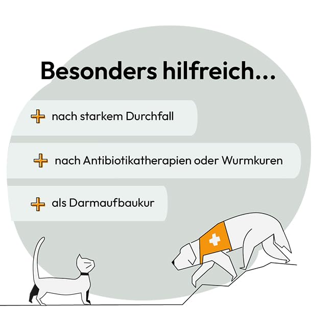 GRAU - das Original - Intestinal Plus Tabletten, für den Wiederaufbau der Darmflora, mit wichtigen Probiotikas und Darmbakterien, 1er Pack (1 x 60 Stück), Ergänzungsfuttermittel für Hunde & Katzen