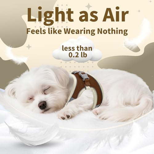AIITLE No Pull Hundegeschirr, Step in einstellbares Hundegeschirr mit gepolsterter Weste, Hundeleine mit weichem gepolstertem Griff, leicht anzulegen für kleine und mittlere Hunde Beige S