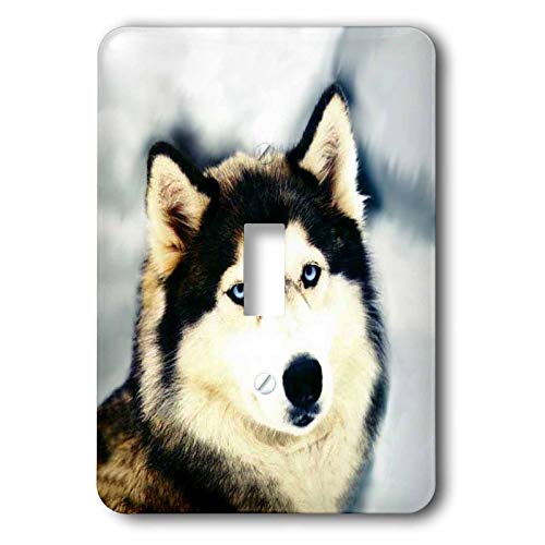 3D[Y  VxAnXL[ ] ƌVxAnXL[ - ƖXCb`Jo[ - VO gOXCb` - lsp_517_1 (sA)