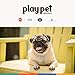 P.L.A.Y. Niedliches Plüsch-Hundespielzeug – Café, Lebensmittelthema, langlebig, Quietschspielzeug, ideal für Welpen und kleine, mittelgroße und große Hunderassen – maschinenwaschbar, recycelte