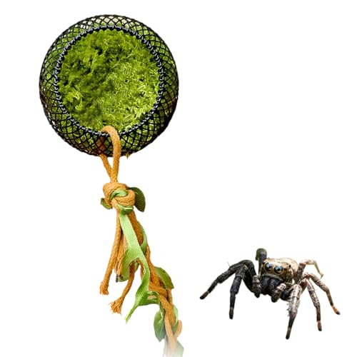 �����w偗p�B��ƁA���[�v���A�w偃W�����v��A঒��ޗp���A�}�O�l�b�g�������n�A�B��ƃn�E�X�A�^�����`��������P�[�W�A�J�^�c�����E�������E�g�J�Q�E�w偗p����