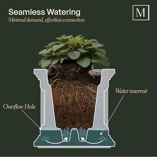 Mayne Nantucket 16-Inch Square Planter – Self-Watering, Weather-Resistant Planter for Flowers – Durable Outdoor Design for Patio, Porch, or Entryway