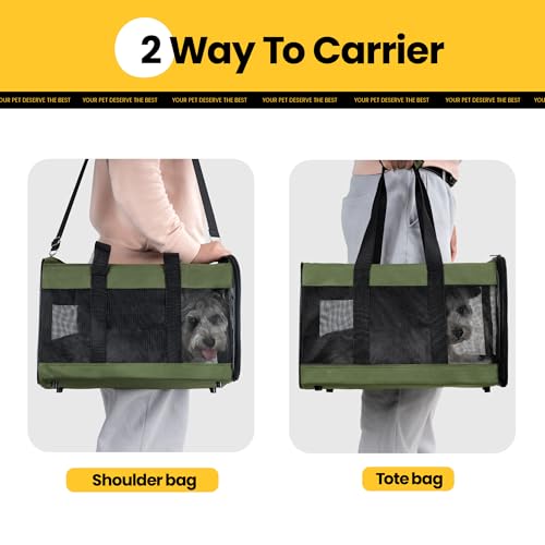 Conlun Katzenboxe Flugzeugtauglich, Weichseitige Hundetransportbox mit Innenleine, Transport für kleine bis mittelgroße Katzen und Welpen bis 7 kg, Zusammenklappbare Reisetasche -Grün,M