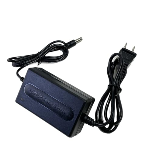 Écran qui saute ? Adaptateur d'alimentation 12V 2A stable avec câble de 2m