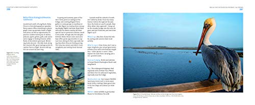 Mastering Bird Photography: The Art, Craft, and Technique of Photographing Birds and Their Behavior